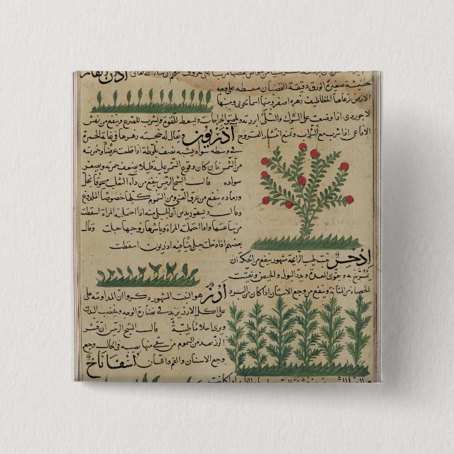 Botanische Pflanzen, Illustration von ' Button (Vorderseite)