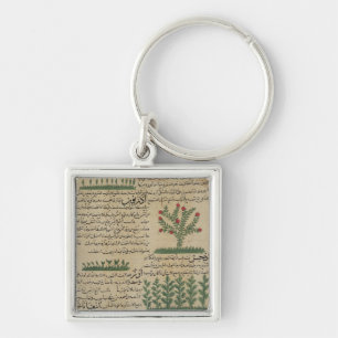 Botanische Pflanzen, Illustration von ' Schlüsselanhänger