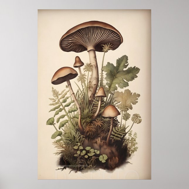 Botanische Pilze in Moosfarn, Boho-Waldlandschaft Poster (Vorne)
