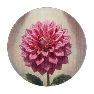 Botanische Pinke Dahlienblüte Schneidebrett