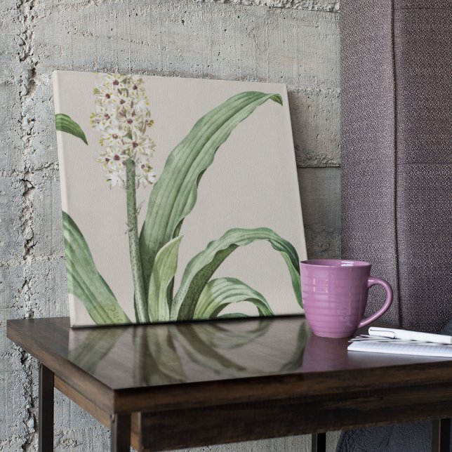 Botanische Printwerbung für antikes Wasser Poster (Watercolor Antique Botanical Print Poster)