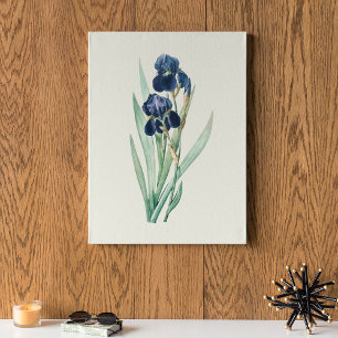 Botanische Printwerbung für antikes Wasser Poster