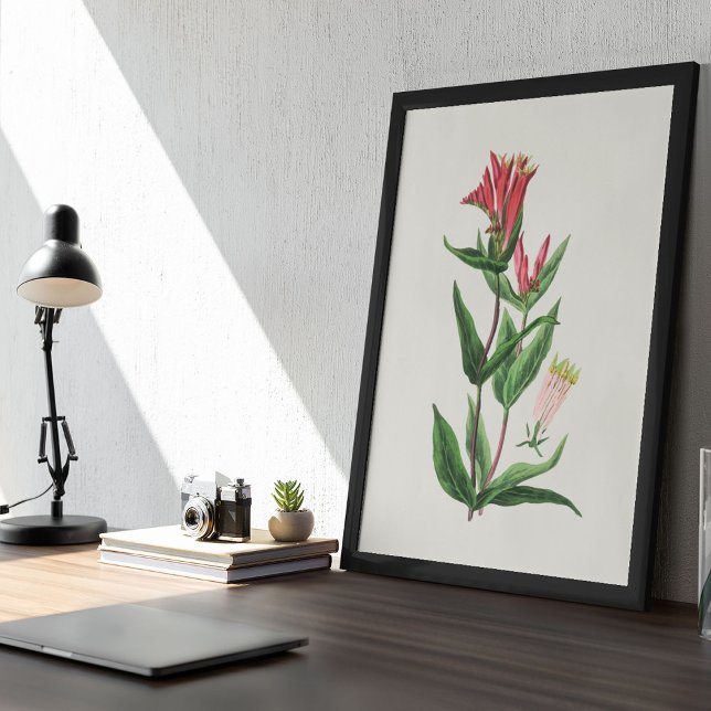 Botanische Printwerbung für antikes Wasser Poster (Antique Watercolor Botanical Print)