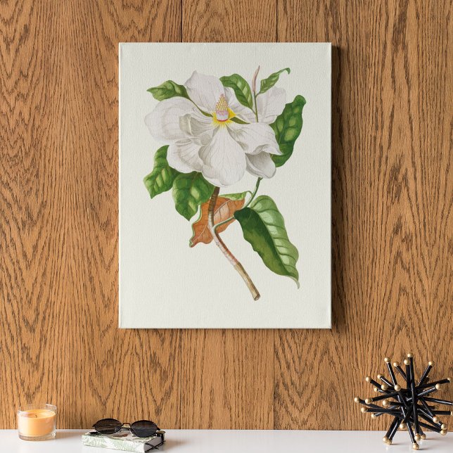 Botanische Printwerbung für antikes Wasser Poster (Antique Watercolor Botanical Print)