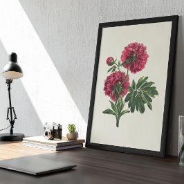 Botanische Printwerbung für antikes Wasser Poster