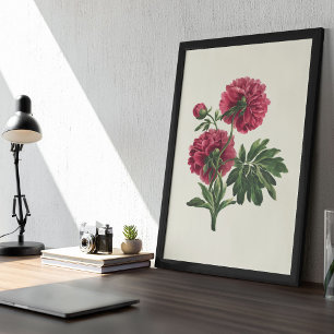 Botanische Printwerbung für antikes Wasser Poster