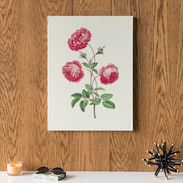 Botanische Printwerbung für antikes Wasser Poster (Antique Watercolor Botanical Print)