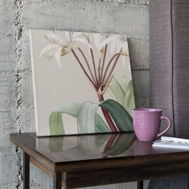 Botanische Printwerbung für antikes Wasser Poster (Watercolor Antique Botanical Print Poster)