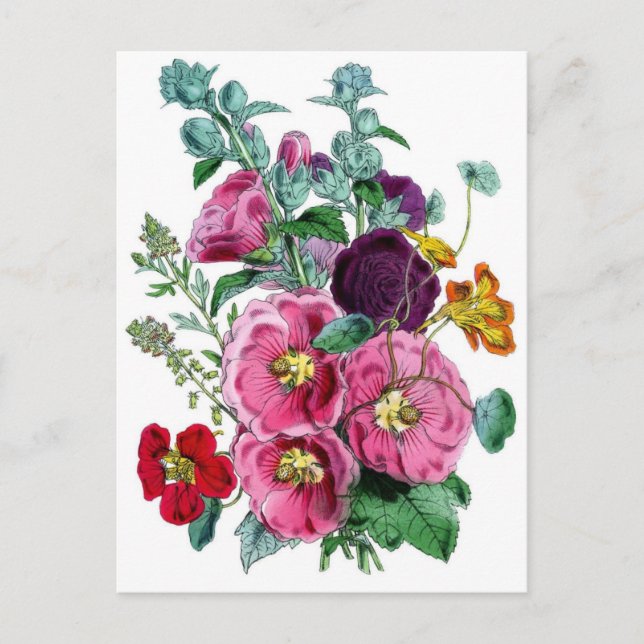 Botanische Printwerbung - Hollyhocks & Rose Postkarte (Vorderseite)