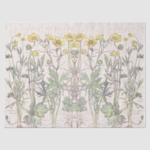 Botanische Ranunculus-Blumen-Blumenseidenpapier Seidenpapier