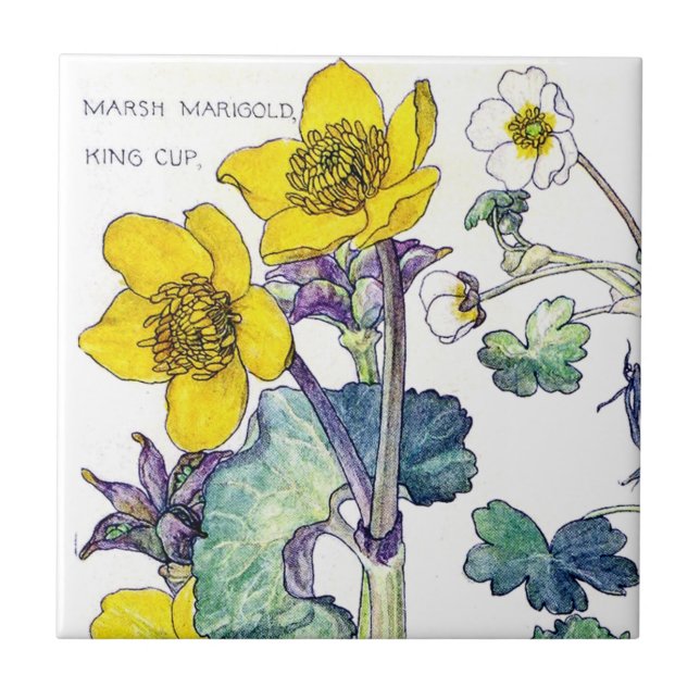 Botanische Ranunculus-Wildblume-Blumen-Fliese Fliese (Vorderseite)