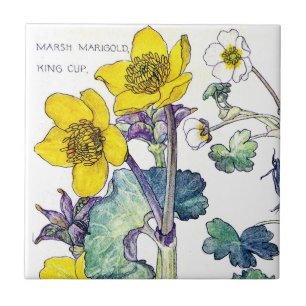 Botanische Ranunculus-Wildblumen-Blumen-Fliese Fliese