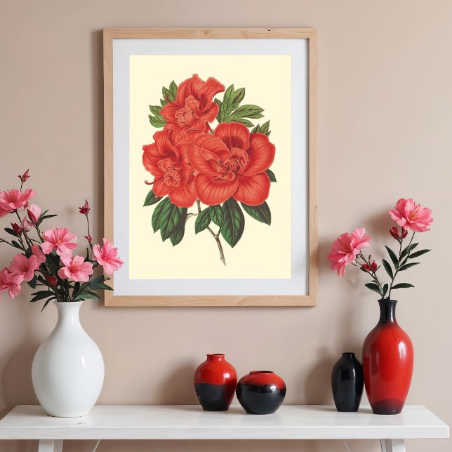 Botanische Red Azalea Illustration Poster (Von Creator hochgeladen)