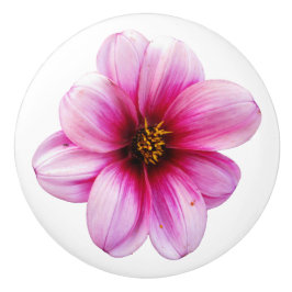 Botanische rosa Dahlie-Blume auf irgendeiner Farbe Keramikknauf