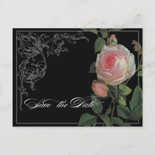 Botanische Rosa, schwarz-Save the Date Postkarte