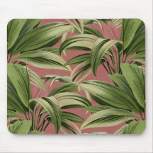 Botanische Rose der Vintagen Tropenpalme