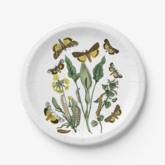 Botanische Schmetterlings-und Motten-natürliche Pappteller