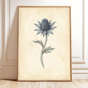 Botanische See-Holly-Vintage-Wandkunst Poster