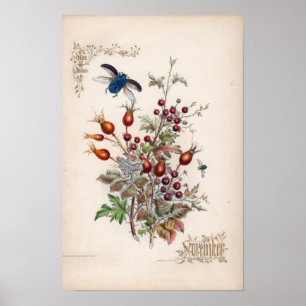 Botanische Stiche, November Poster