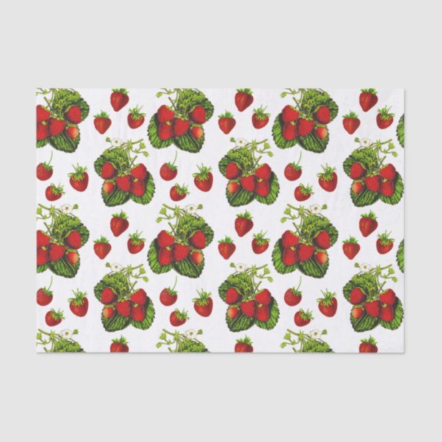 Botanische Strawberry Illustration Print on White Seidenpapier (Vorderseite)