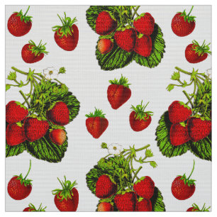 Botanische Strawberry Illustration Print on White Stoff