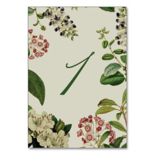 BOTANISCHE TABELLEN-ZAHL-CREME TISCHNUMMER