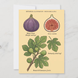 Botanische Tafel Feige Ficus Carica Einladung