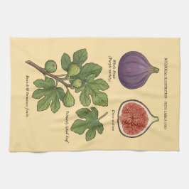 Botanische Tafel Feige Ficus Carica Geschirrtuch