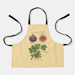 Botanische Tafel Feige Ficus Carica  Schürze