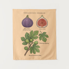 Botanische Tafel Feige Ficus Carica Wandteppich