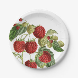 Botanische Teller aus roten Himbeeren