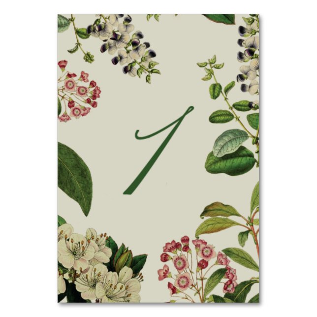 BOTANISCHE TISCHNUMMERN - CREME (Vorderseite)