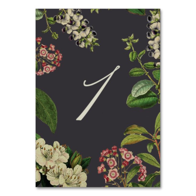 BOTANISCHE TISCHNUMMERN - GRAU (Vorderseite)