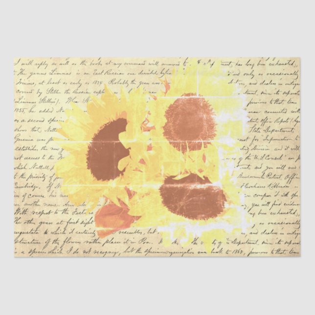 Botanische Vintage Beige Sonnenblumen Blumenschrif Seidenpapier (Vorderseite)