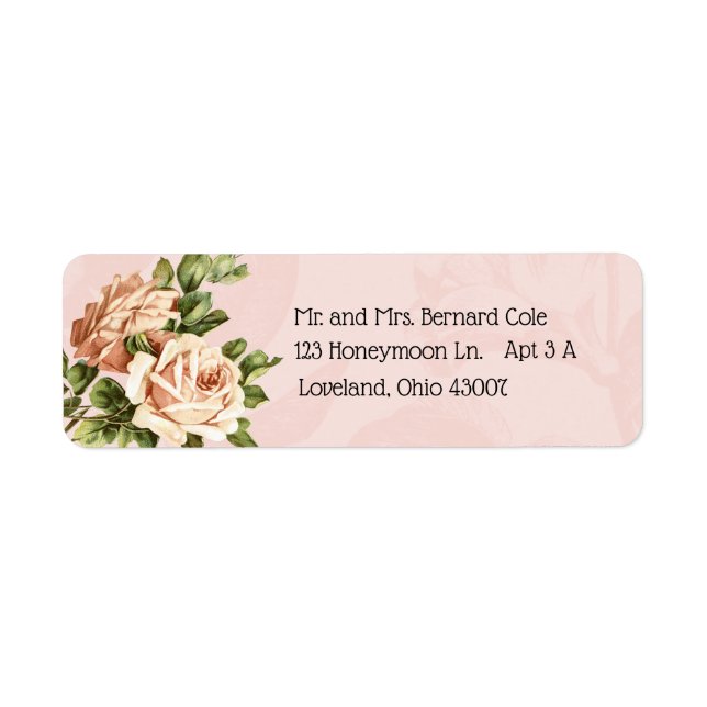 Botanische Vintage Rose erröten (Vorne)