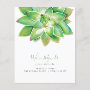 Botanische Wasserfarbenaukkulente Bewegung Flyer