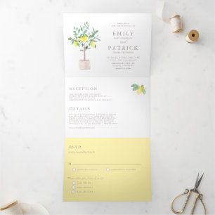 Botanische Wasserfarbenwelt Zitronenbaum Sommerhoc Dreifach Gefaltete Einladung