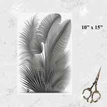 Botanische Weiße Linie Zeichnend Kleine