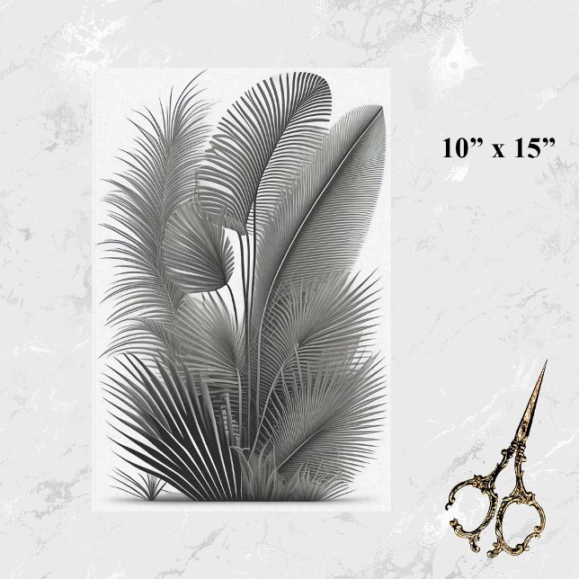 Botanische Weiße Linie Zeichnend Kleine Seidenpapier (Von Creator hochgeladen)