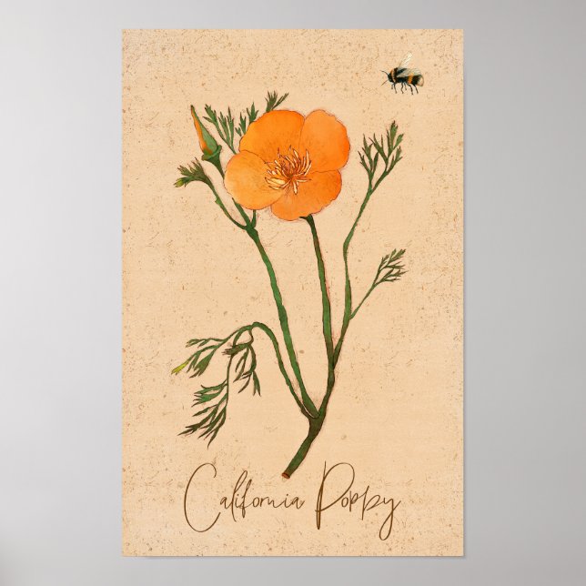 Botanische Wildblume California Poppy Orange Poster (Vorne)