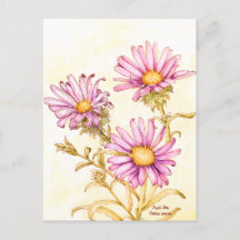 Botanische Wildblumen-Aquarell-Aster
