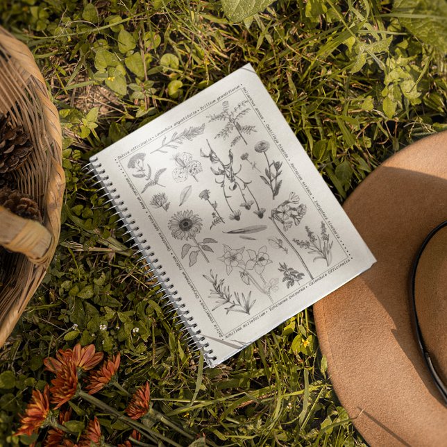 Botanische Wildblumen Vintages Blumenbuch Notizblock (Von Creator hochgeladen)