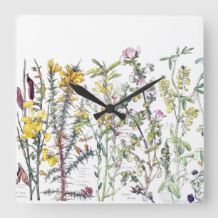 Botanische Wildblumen-Wiesen-Wanduhr Quadratische Wanduhr