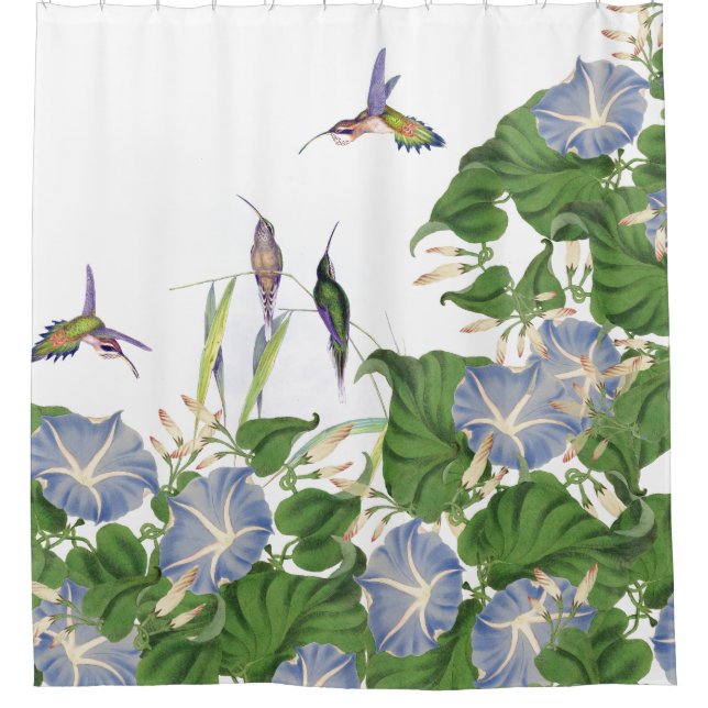 Botanische Winden-Blumen-Blumengarten Duschvorhang (Vorderseite)