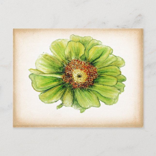 Botanische Zeichnungen auf Postkarten (Vorderseite)