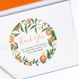 Botanische Zitrusfrüchte-Süsse-Babydusche Runder Aufkleber