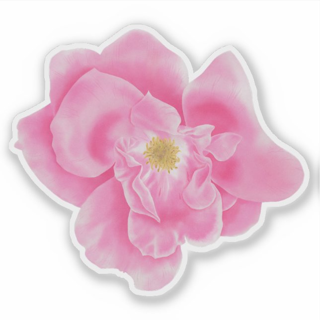 Botanischer Aufkleber für Wasserfarben Rosa Rose (Vorderseite)