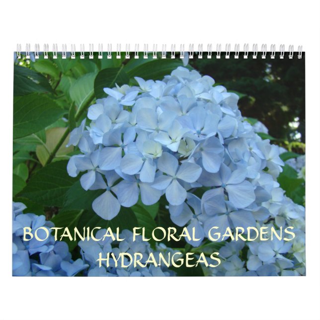 Botanischer Blumengarten Calendar HYDRANGEAS Kalender (Titelbild)