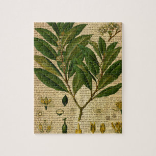 Botanischer Druck auf Seite des alten Buches Puzzle