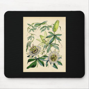 Botanischer Druck - Leidenschafts-Blume Mousepad